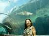 atlantisbahamaaquariumtunnel.jpg