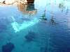 marinehabitat.jpg